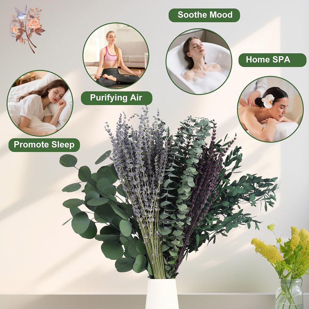 110 قطعة مزيج أوراق الأوكالبتو - مراجعة Fragrance Your Home وسعره
