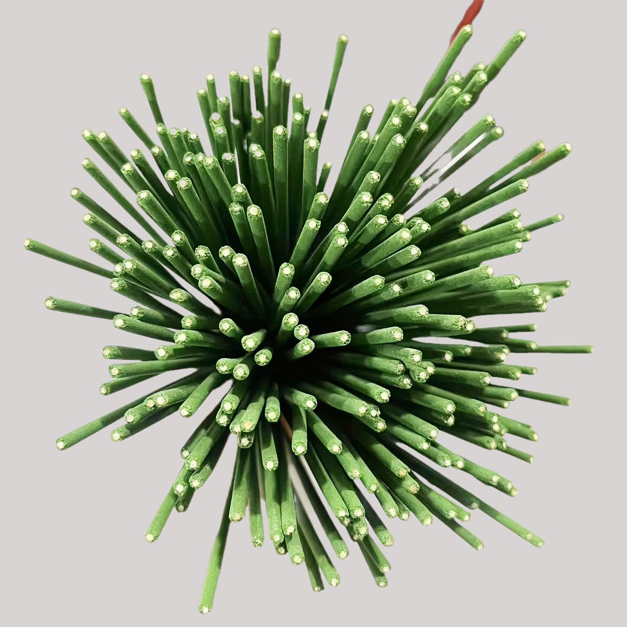 ريد الناشر العصي عشبة الليمون  - مراجعة Home Fragrance Lemongrass وسعره