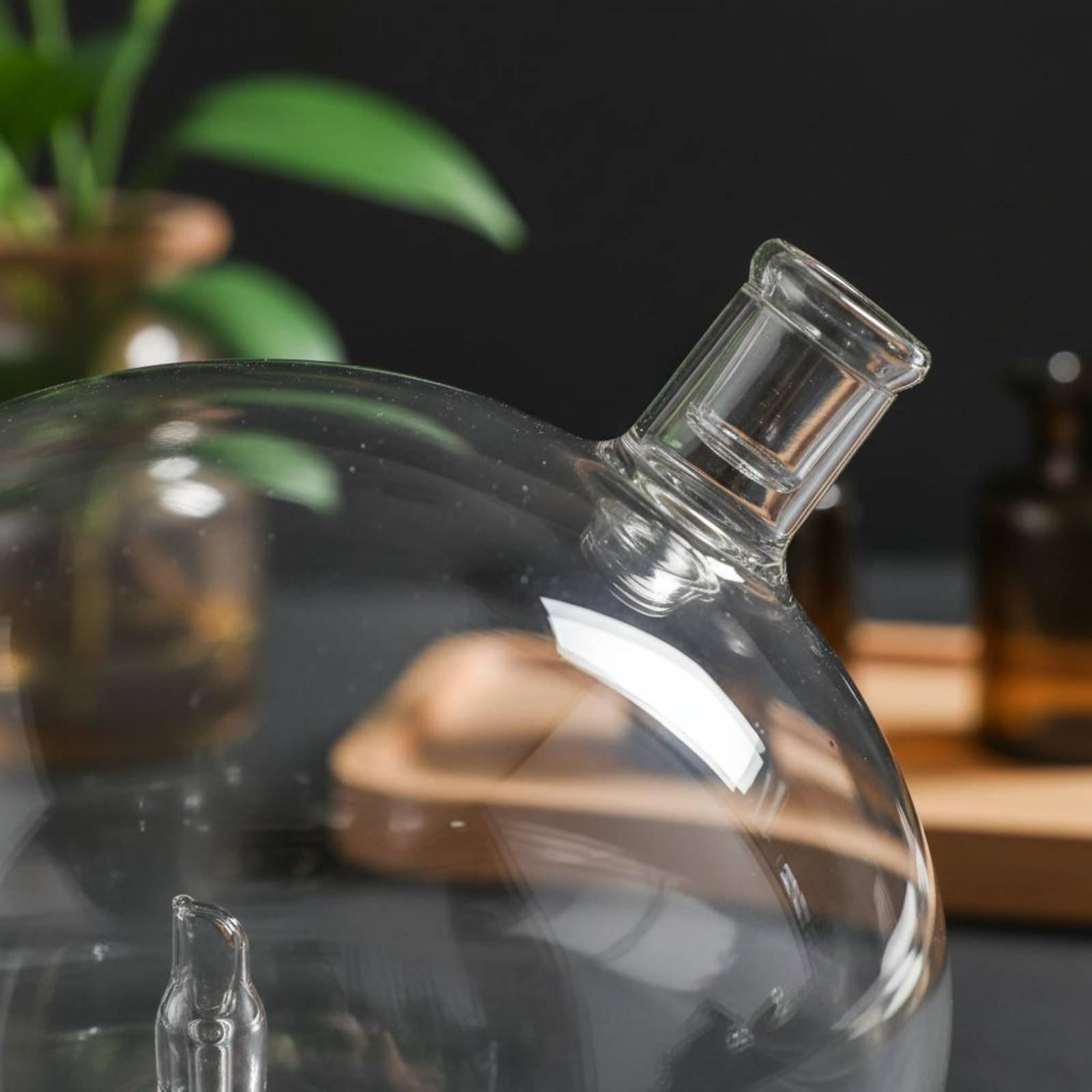زجاجة ناشر عطر زجاجية بديلة عا - مراجعة Home Fragrance وسعره